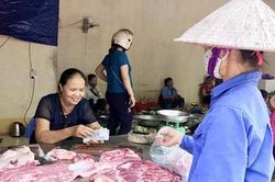 Việt Trì: Ngăn ngừa bệnh dịch tả lợn châu Phi tái phát