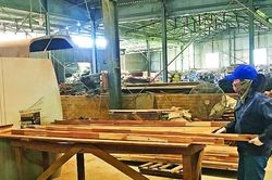 Công ty CP Chế biến lâm sản Quảng Ninh: Khởi sắc nhờ đi đúng hướng