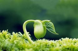 Lòng bạn luôn có sự vui vẻ và lạc quan, mọi sóng gió của cuộc sống cũng không thể khiến bạn gục ngã