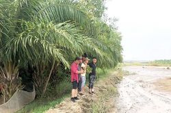 San lấp mặt bằng khi chưa bồi thường cho dân