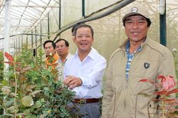 Bí thư chi bộ 'hoa hồng'