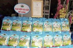 Gạo nếp Gà Gáy Mỹ Lung: Không còn tình trạng khan hàng