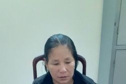Hà Tĩnh: Bắt đối tượng bị truy nã sau 5 năm lẩn trốn