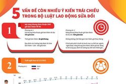5 vấn đề còn trái chiều trong Bộ Luật Lao động sửa đổi