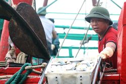 Một xã ven biển Nghệ An thu 75 tỷ đồng/tháng từ đánh bắt hải sản