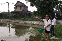 Nuôi trồng thủy sản theo chuỗi: Hướng đi hiệu quả