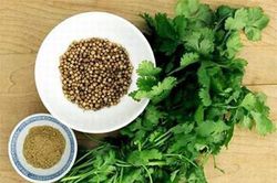 4 người tuyệt đối nên hạn chế ăn rau mùi