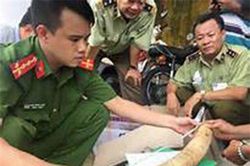 Phát hiện hành khách mang ngà voi, trầm hương từ Thái Lan về Việt Nam