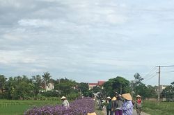Khơi dậy sức dân, bài học thu hút nguồn lực phát triển ở xã Quảng Cát