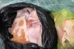 Ô tô khách chở trên 2 tạ thực phẩm bẩn ở Thanh Hóa