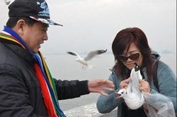 Khách Trung Quốc bị chỉ trích vì ép hải âu ăn