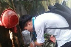 Y tế - Sức khỏe Tin tức y tế Hơn 80 sinh viên về địa bàn tuyên truyền, phòng ngừa sốt xuất huyết