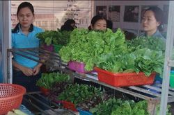 Kinh tế Nông nghiệp - Nông thôn Liên kết thúc đẩy kinh tế tập thể