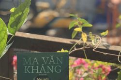Những câu chuyện hư ảo trong 'Người khách kỳ dị'