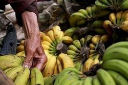 Câu chuyện về bà cụ bán chuối