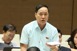 Có lãnh đạo bộ gây sức ép với đại biểu Quốc hội vì phát biểu trái ý