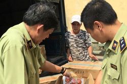 Tạm giữ hơn 5.400 gói bánh bông lan Trung Quốc không có giấy tờ