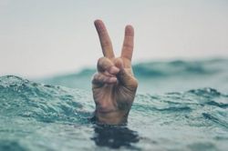 Mất cả thời sinh viên để toan tính mà vẫn xôi hỏng bỏng không