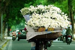 Như mọi chiều, ta để lại phố xá ngoài kia