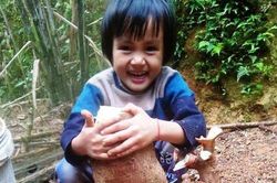 Nông dân Hà Tĩnh đào được gốc khoai mì 'khủng' có trọng lương ngang bé gái