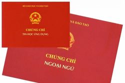 Bỏ thi chứng chỉ ngoại ngữ: 'Việc nên làm từ lâu'