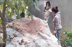 Cuộc sống người dân xã Đàm Thủy đảo lộn sau nhiều trận động đất liên tiếp