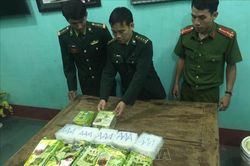 Khởi tố điều tra vụ 7 gói ma túy trôi dạt vào bờ biển Quảng Trị