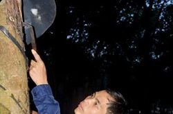 Bí quyết trở thành thợ giỏi của Nguyễn Trọng Báo