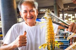 Thưởng thức bề bề cỡ lớn chiên giòn ở Thái Lan