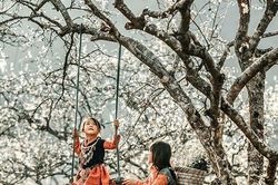 Tháng mười hai miên man…