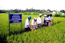 Năm 2019 – Nông nghiệp chủ động đương đầu biến đổi khí hậu