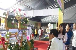 Khai mạc Festival lúa gạo Việt Nam lần thứ tư tại Vĩnh Long