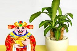Đặt ngay 5 loại cây này trong nhà để thần Tài 'ưng lòng vừa ý' ban phát tài lộc, rung đùi cũng có tiền