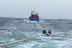 Cứu hộ nhiều tàu cá và ngư dân gặp sự cố trên biển