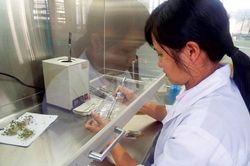 'Đòn bẩy' khoa học công nghệ cho phát triển nông nghiệp