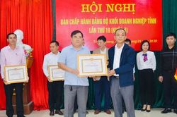 Đảng ủy khối doanh nghiệp tỉnh tập trung chỉ đạo đại hội đảng bộ các cấp