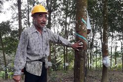 Người nông dân Đạ Pal và ước mơ về quê mới