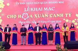 Hoàng Mai - Hà Nội: Chợ hoa tết khoe sắc xuân