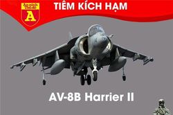 Sức mạnh loại chiến đấu cơ siêu dị AV-8B Harrier II của Mỹ vừa áp sát Iran