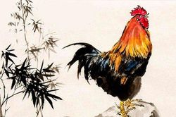 Tử vi tuổi Dậu năm 2020: Vạn sự khởi đầu nan, từ giữa năm vận thế sẽ đi lên