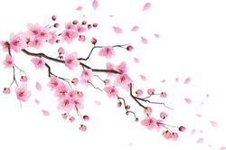 Tình người lúc xuân sang
