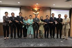 Việt Nam chủ trì phiên họp Hội đồng điều hành Viện Hòa bình và hòa giải ASEAN