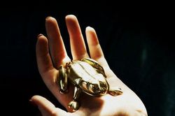 Ngày 22/1/2020 của 12 cung hoàng đạo: Song Ngư cảm thấy như vua Midas, Sư Tử thuận hòa cùng gia đình