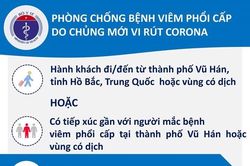 Việt Nam phát tờ rơi phòng, chống bệnh viêm phổi lạ tại các cửa khẩu