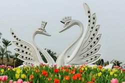 Chiêm ngưỡng thung lũng hoa tại Hà Nội dịp đầu xuân Canh Tý