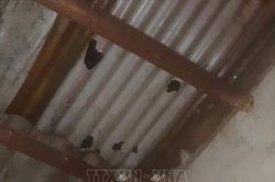 6.463 nhà dân Cao Bằng bị tốc mái, hư hại vì mưa đá đêm giao thừa