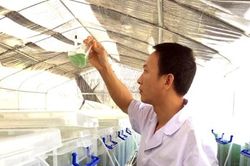 Khởi nghiệp với nông nghiệp sạch