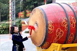Phó Chủ tịch nước phát động Tết trồng cây tại Đền Hùng, Phú Thọ