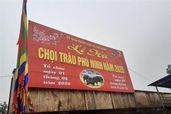 Dừng tổ chức, Lễ hội chọi trâu Phù Ninh không một bóng người