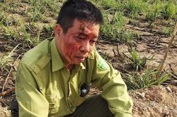Tạm giữ các đối tượng tấn công cán bộ kiểm lâm